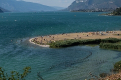 p1036246