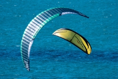 p1481753