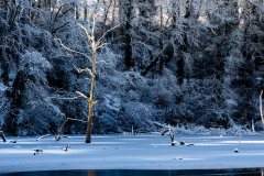 Le-Gevres-6-janvier-2026