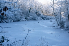 Le-Gevres-sous-la-neige
