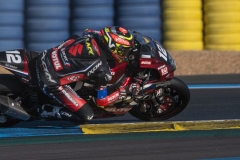 2 N°12 Yoshimura SERT Motul