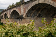 p1122497