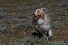 DSC01420