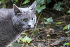 p1170577-enhanced-nr