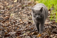 p1205648-enhanced-nr