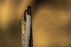 p1217774