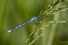 p1120330