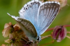 p1482866