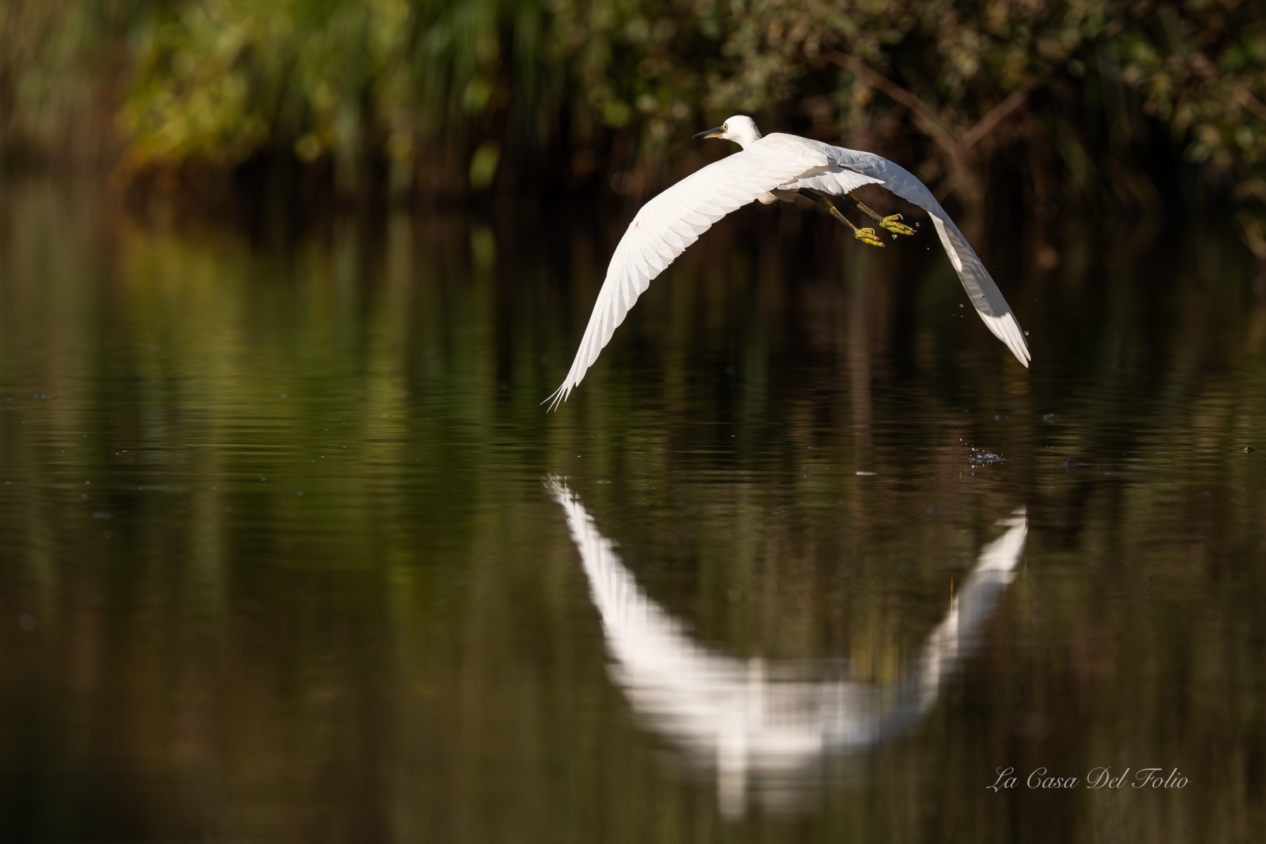 DSC01829