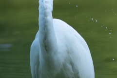 DSC00504