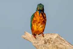 DSC05098