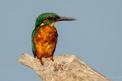 DSC05121