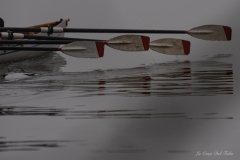 Nantes Aviron