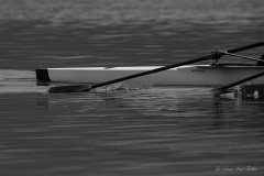 Nantes Aviron