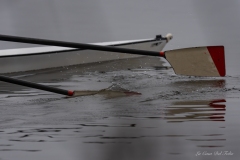 Nantes Aviron