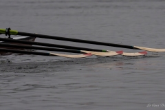 Nantes Aviron