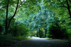 Parc de la Godiniere; Nantes