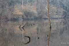 p1062874