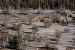 p1074652
