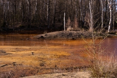 p1074670