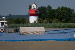 p1121098