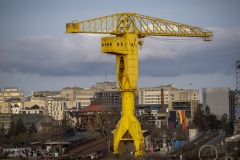 p1134448