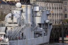 p1134464