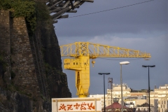p1134489