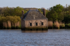 p1413504