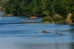 p1459004