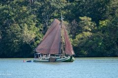 p1493223