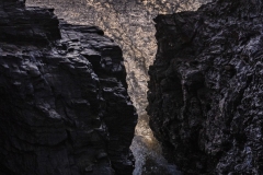 p1134564