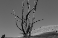 p1037233