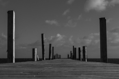 p1038602