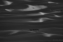 p1056219