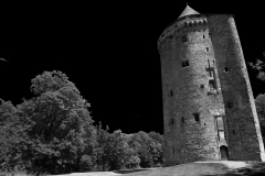 p1121196