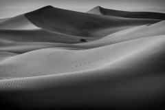 p1145126