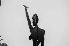 p1156897