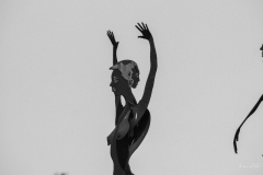 p1156902