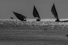 p1207198