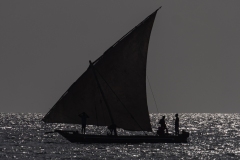 p1207289