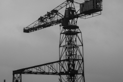 p1435794
