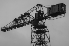p1435795