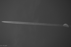p1571084