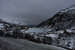 DSC03367
