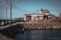 DSC03505