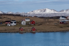 DSC03962