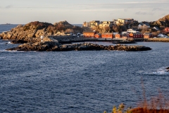 DSC03983