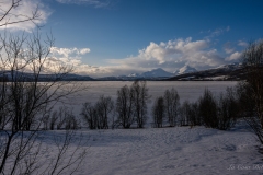 DSC04193