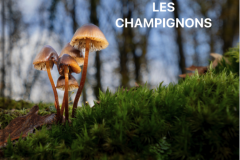 Capture-decran-2025-09-30-a-11.07.58 Capture-decran-2025-09-30-a-11.07.58